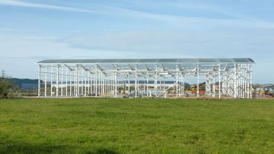 Guvernul a dat 37 de milioane de euro pentru lână în șase ani. Două treimi din acești bani au ajuns la un afacerist lansat în imobiliare alături de tatăl fostului șef al Poliției