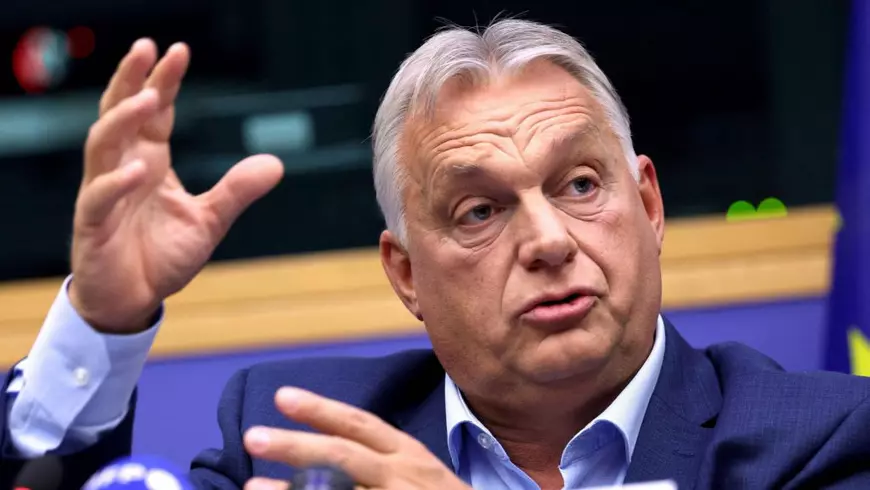 Director de fabrică din Sălaj, apropiat al grupării liberale conduse de Lucian Bode, promotor înfocat al lui Vladimir Putin