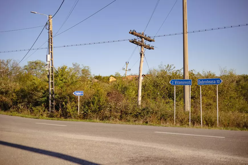 Guvernul a dat 37 de milioane de euro pentru lână în șase ani. Două treimi din acești bani au ajuns la un afacerist lansat în imobiliare alături de tatăl fostului șef al Poliției