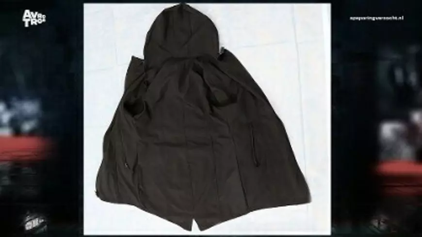 Poliția olandeză a dezvăluit identitățile a doi dintre cei trei arestați după furtul tezaurului românesc de la Muzeul Drents