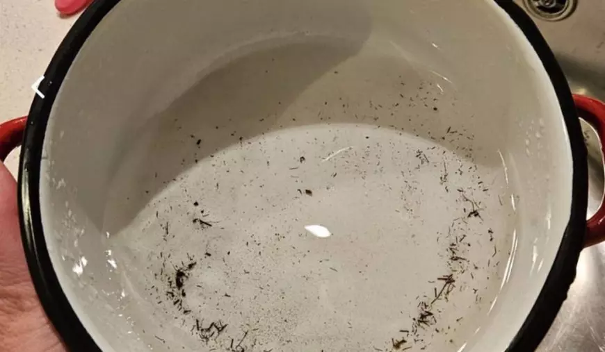 Apă murdară Oradea, Sursă: ebihoreanul.ro