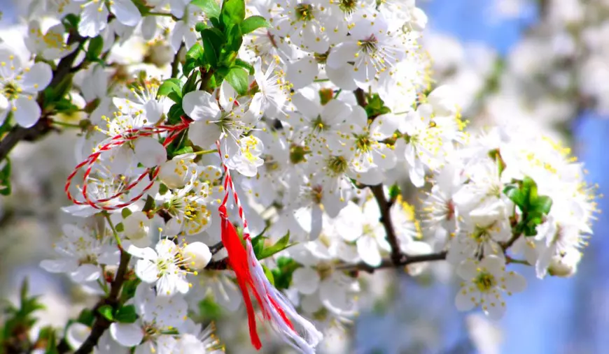 Un șnur de mărțișor legat de un cireș