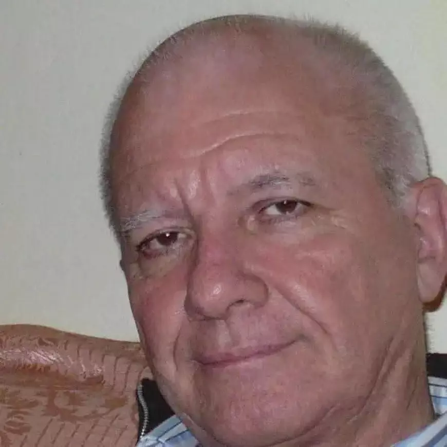 Noile planuri-cadru provoacă îngrijorări în rândul experților în Educație: „Oamenii ăștia știu să taie copaci, dar în jungla greșită”