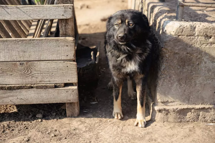 Un ruso-ucrainean a pornit un război pentru hrean într-un sat din Vaslui: „Mi-am luat amendă, dar el săracu’ a stat 8 zile în spital”