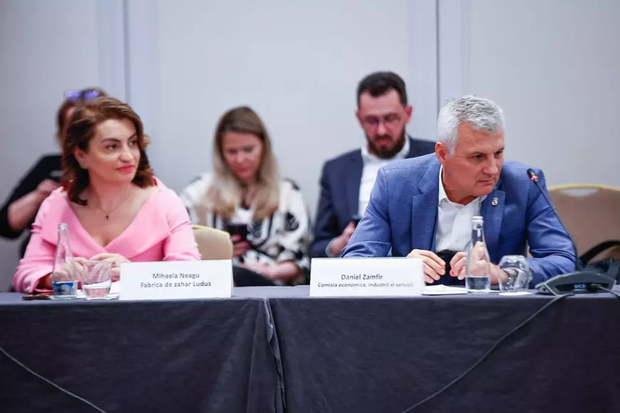 „Regina” contractelor cu statul: cum a ajuns Mihaela Neagu de la o benzinărie în Lehliu la peste 1.000 de contracte cu fonduri publice