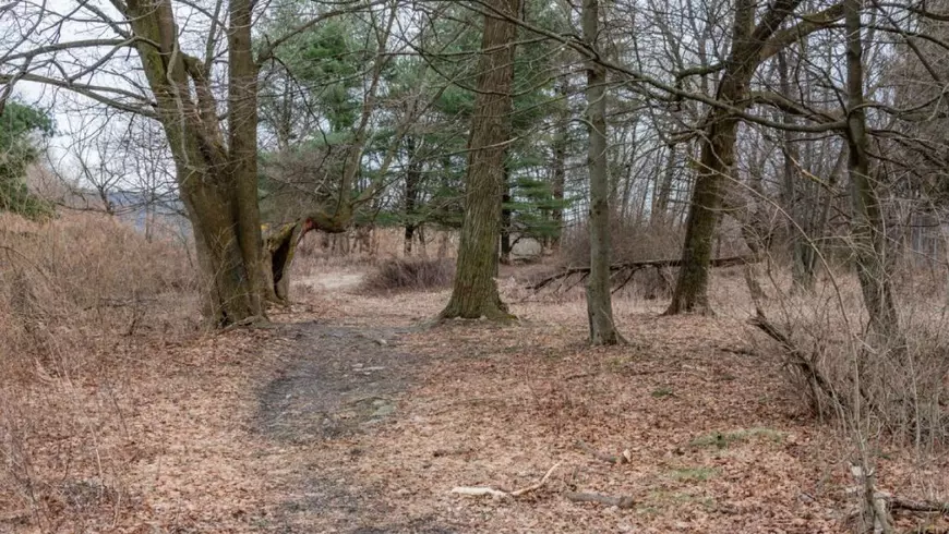 O alee către o casă care nu mai este acolo, Centralia Pennsylvania SUA , Foto: Profimedia Images