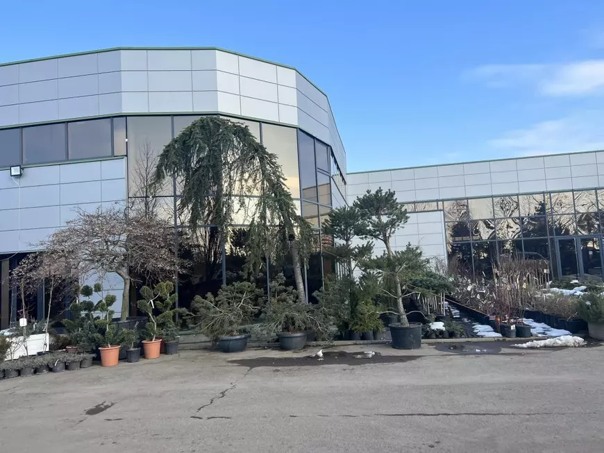 Cine este Ion Olteanu, patronul firmei din cauza căreia generalul Zisu a fost ridicat de procurori. Caracatița de companii prin care câștigă sute de contracte cu statul
