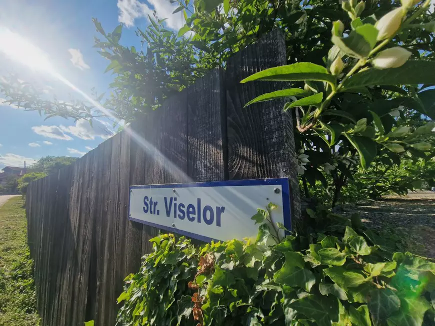 Cum văd oamenii de pe strada Viselor din Gulia, Dâmbovița, duelul dintre Nicușor Dan și George Simion: „Speranța ar fi să iasă președinte și să dea țara peste cap!” I VIDEO