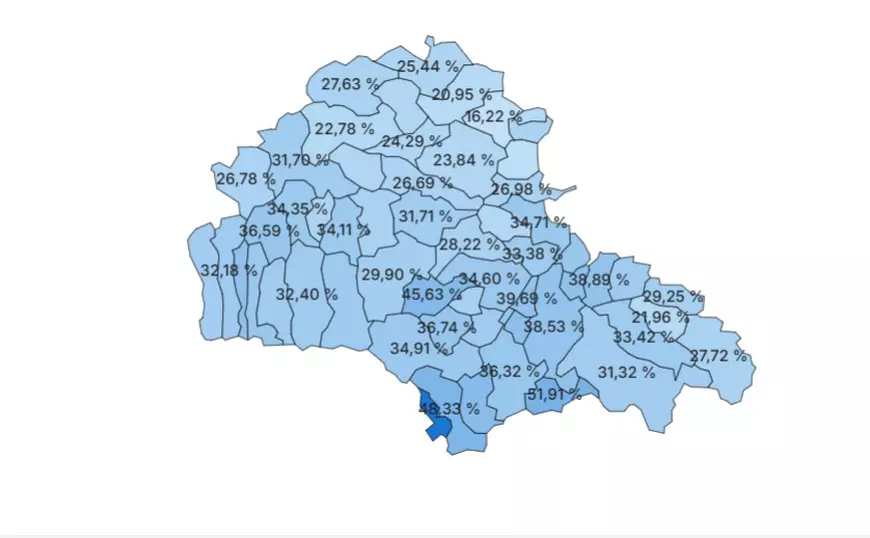 Alegeri prezidențiale 2025: În județul Ilfov au ieșit la vot aproape jumătate din cetățeni. În localitatea Fundata din Brașov prezența e de aproape 100%