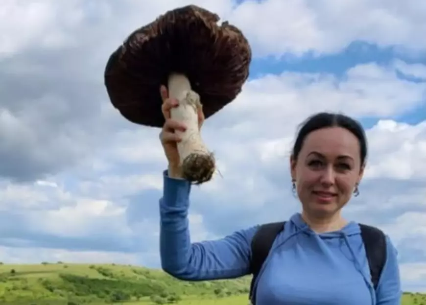 Ciupercă uriașă descoperită la Cluj.