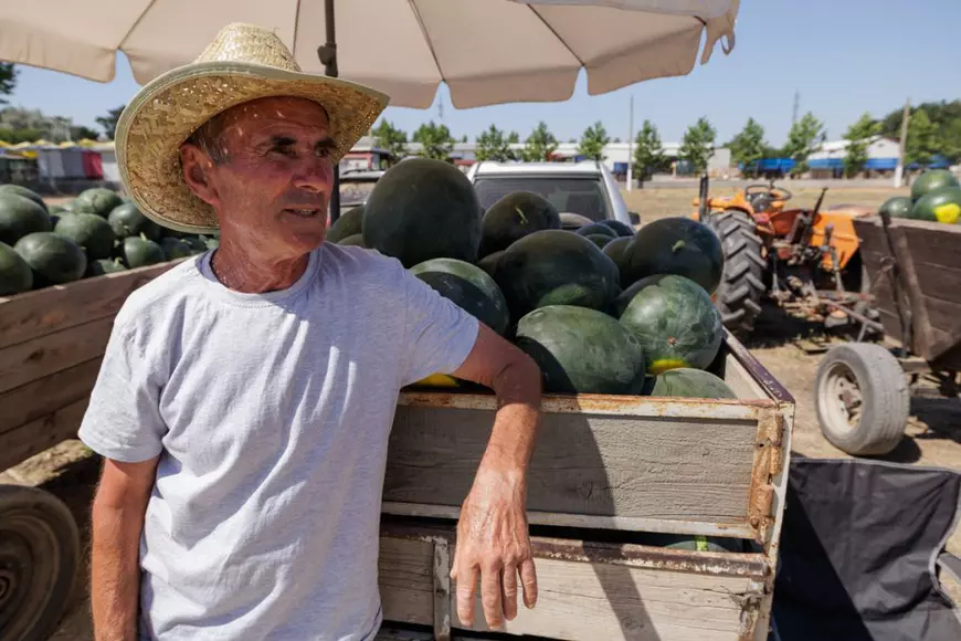 Pepenii din Dăbuleni au ieșit pe piață, producătorii sunt pesimiști: „A fost grindina, acum e dogoarea! Prețul e cam prost”