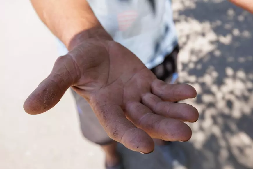 Pepenii din Dăbuleni au ieșit pe piață, producătorii sunt pesimiști: „A fost grindina, acum e dogoarea! Prețul e cam prost”