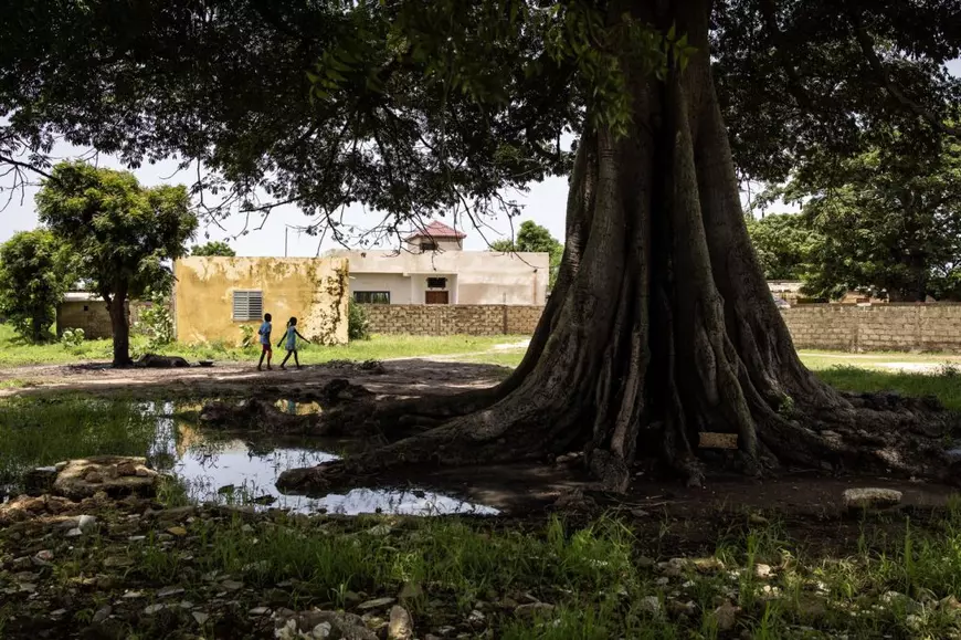 Proiectul futurist &bdquo;Akon City&rdquo; din Senegal, evaluat la 6 miliarde de dolari, a fost abandonat