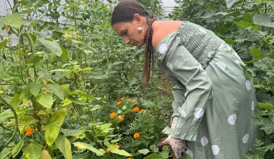 Fermiera din Mureș în solar, în timp ce se uită la roșiile pe care le crește și culege florile pe care le-a plantat