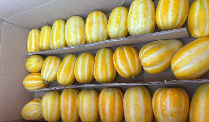 Pepeni galbeni ordonați într-o cutie