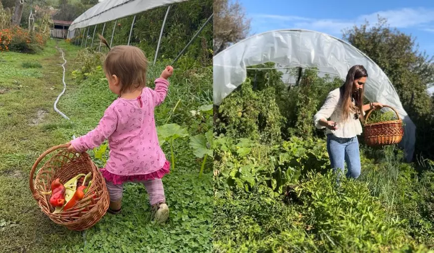 O fetiță îmbrăcată în roz duce un coș cu legume// O femeie îmbrăcată în blugi și bluză albă culege plante, ține un coș în mână