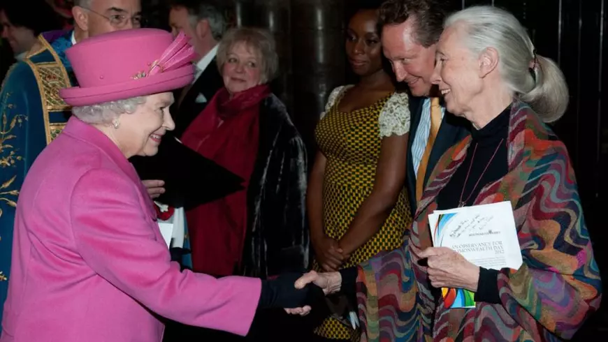 Fotografie din arhivă din 12.03.2012 cu Regina Elisabeta a II-a, in stanga, in taior si palarie roz, dand mâna cu Dame Jane Goodall după slujba de marcare a Zilei Commonwealth-ului la Westminster Abbey din centrul Londrei.