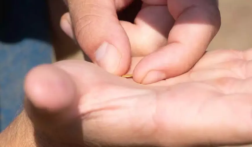 O comoară celtică veche de 2.500 de ani, descoperită de arheologi într-un loc secret din Cehia