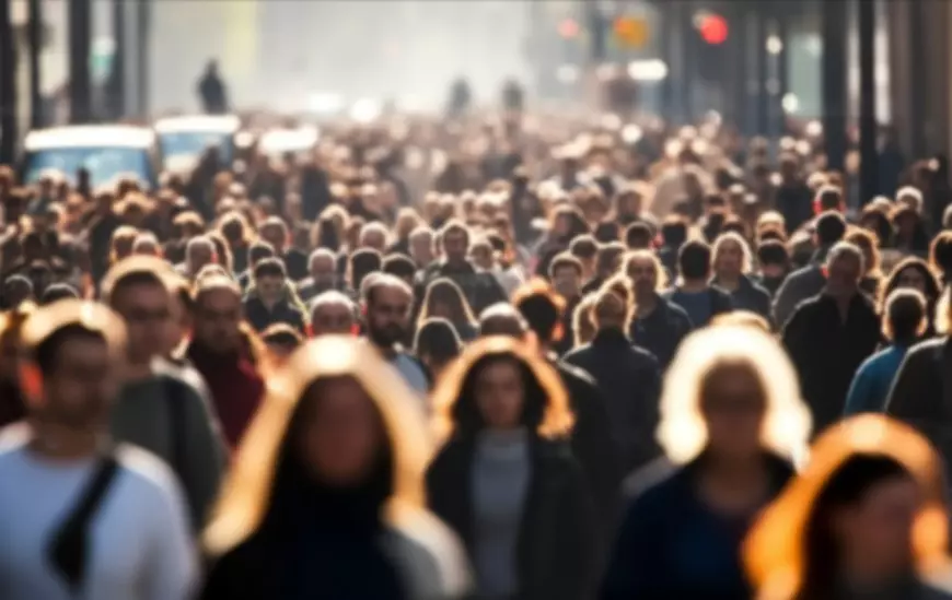 CNA propune introducerea educației media în școli și alfabetizarea digitală a populației. Solicitarea, transmisă președintelui țării, Nicușor Dan