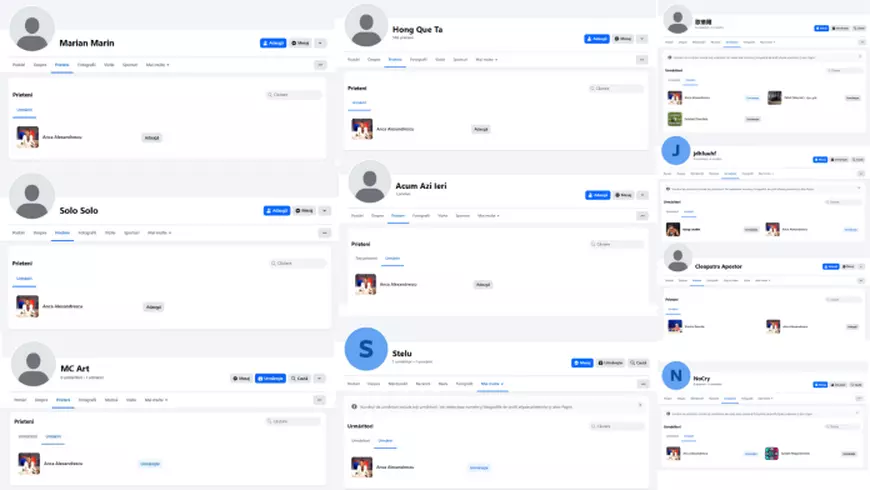 Internetul paralel din spatele candidatei Anca Alexandrescu: prietenii vietnamezi și grupurile de Facebook reciclate de omul din Romarm