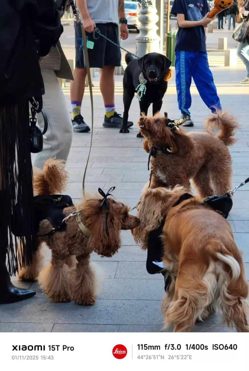 Xiaomi 15T Pro review: cameră foto de top, într-un „pachet” complet