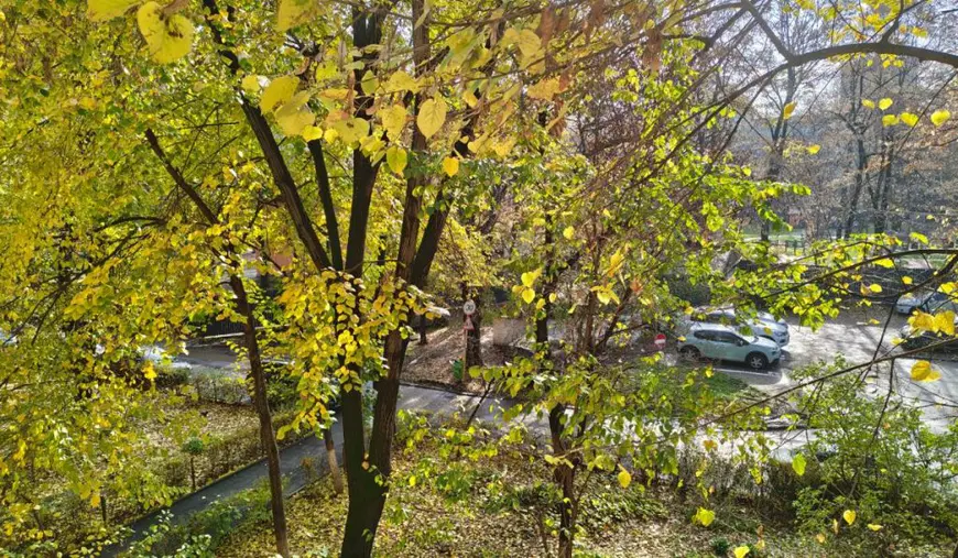 Peisaj tomnatic, plin de copaci, în cartierul bucureștean Drumul Taberei.