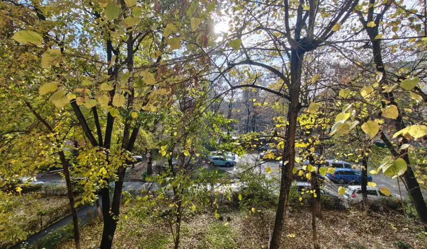 Peisaj tomnatic, plin de copaci, în cartierul bucureștean Drumul Taberei.