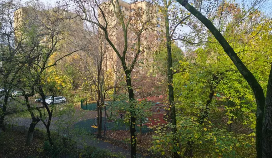 Peisaj tomnatic, plin de copaci, în cartierul bucureștean Drumul Taberei.