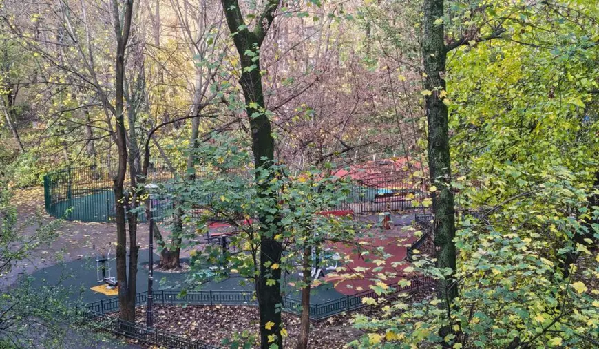 Peisaj tomnatic, plin de copaci, în cartierul bucureștean Drumul Taberei.