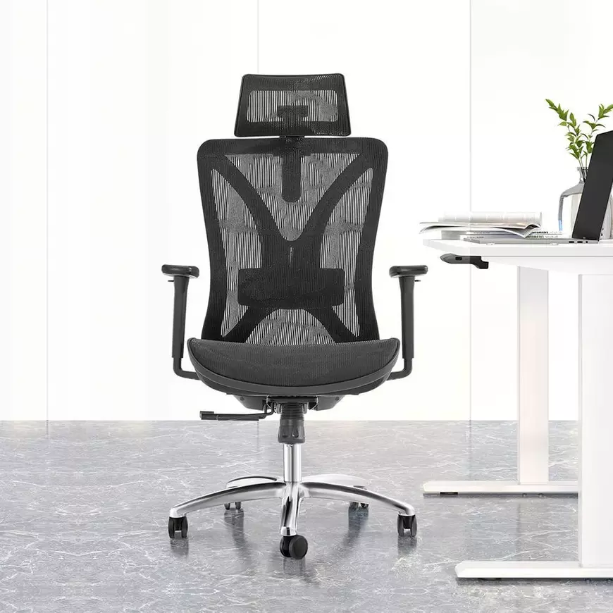 Scaunele ergonomice  - investiția reală într-un spate sănătos