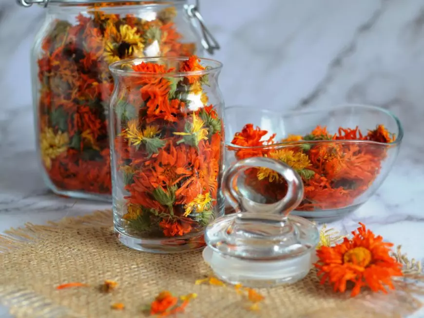 Gălbenele - proprietăți și beneficii