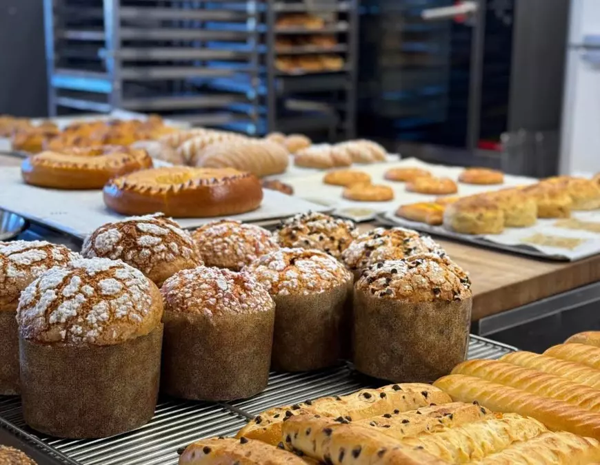 CV-ul depus de prefectul Capitalei la înscrierea în USR nu menționa diploma de la Ecologică, iar afacerile lui apar cu pierderi majore. Andrei Nistor: „Nu scrie nicăieri că ar trebui să am pregătire în ceva”