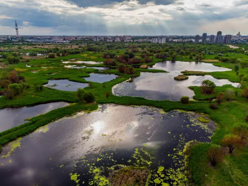 Cele mai mari parcuri din București