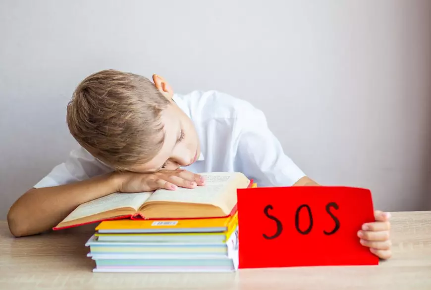 Profesoara de matematică Mihaela Popa, despre simularea în cascadă a Evaluării Naționale: „Aduce doar haos în școli, materie pierdută și ore date peste cap”