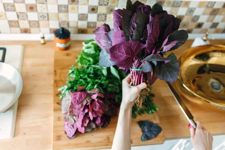 Cum alegi și cum gătești loboda - Foto  Shutterstock