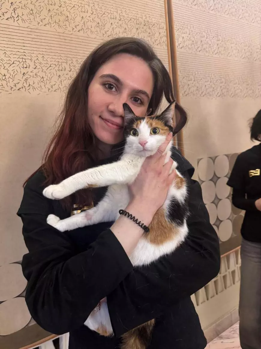 Târgul de adopție AristoCrat revine. Ce aduce nou ediția 2: „Este o celebrare a oamenilor care doresc să schimbe destine”