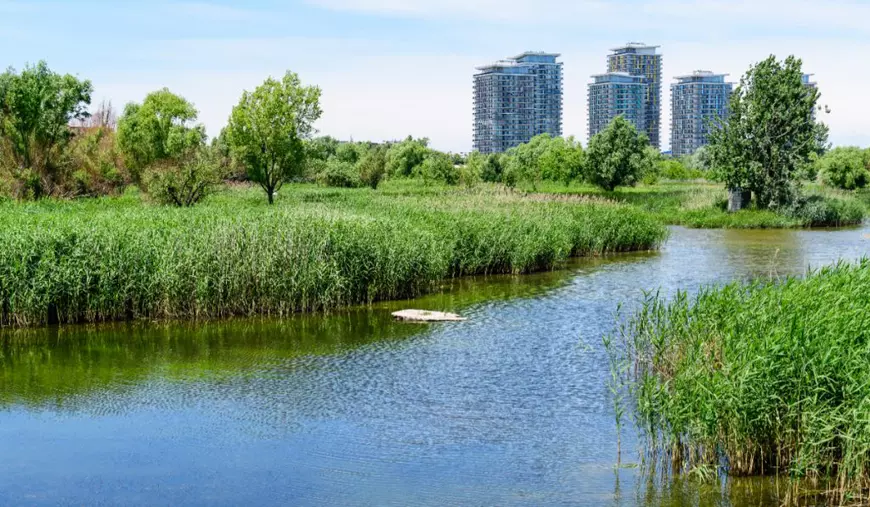 Cum s-a transformat un proiect comunist eșuat în model global de parc urban. Bloomberg laudă România pentru „delta dintre blocuri”