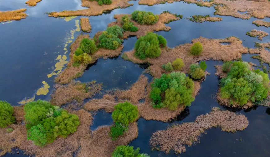 Cum s-a transformat un proiect comunist eșuat în model global de parc urban. Bloomberg laudă România pentru „delta dintre blocuri”