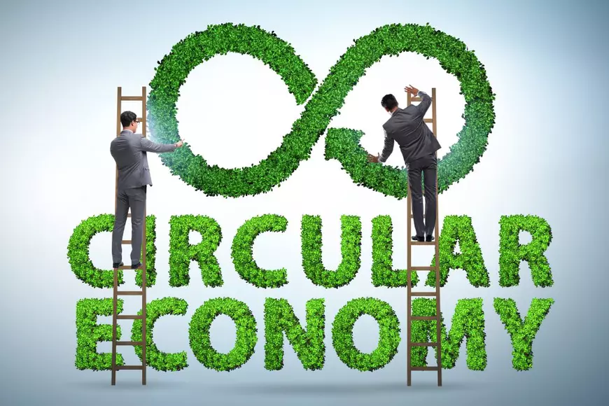 Economia circulară pe înțelesul elevilor, concept introdus în programa școlară pentru clasa a VII-a