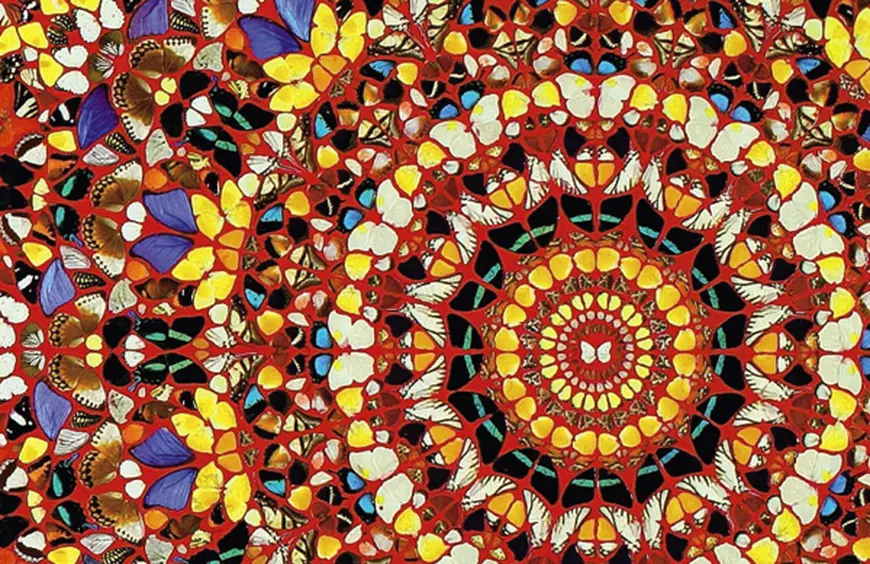 RADAr CULTURAL. Păsări și zboruri
