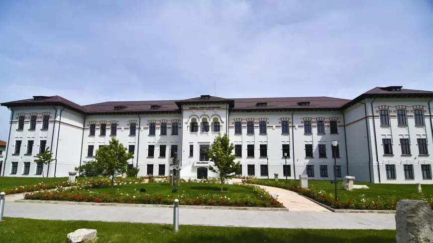 Cazul dispariției a 552 de obiecte de patrimoniu din aur și argint. Infracțiunea a fost descoperită la pensionarea unui angajat al Muzeului Regiunii Porților de Fier din Drobeta-Turnu Severin