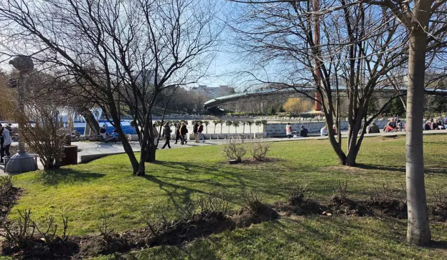 Peisaj de primăvară, cu mulți pomi, iarbă, din Parcul Drumul Taberei.
