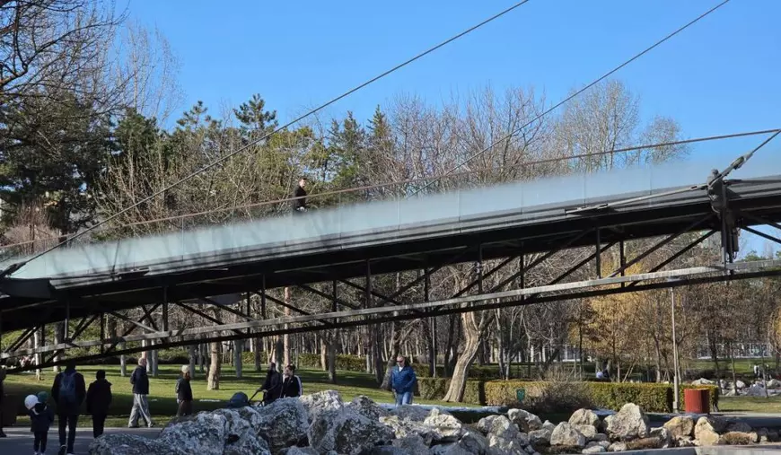 Peisaj de primăvară, cu mulți pomi, iarbă, din Parcul Drumul Taberei.