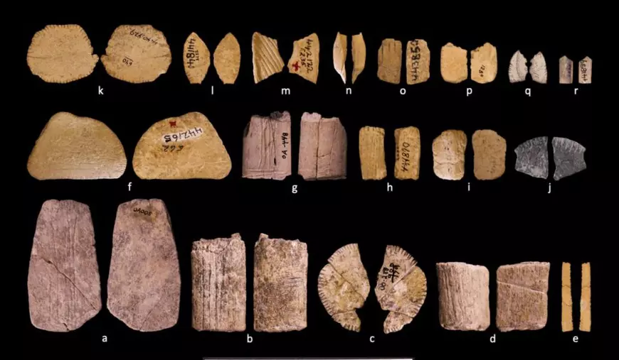 zaruri antice, vechi de peste 12000 de ani, găsite în America, originare ale poporului amerindian