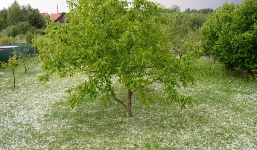 Cum modifică schimbările climatice furtunile: fenomenul care va face grindina mult mai mare și mai periculoasă