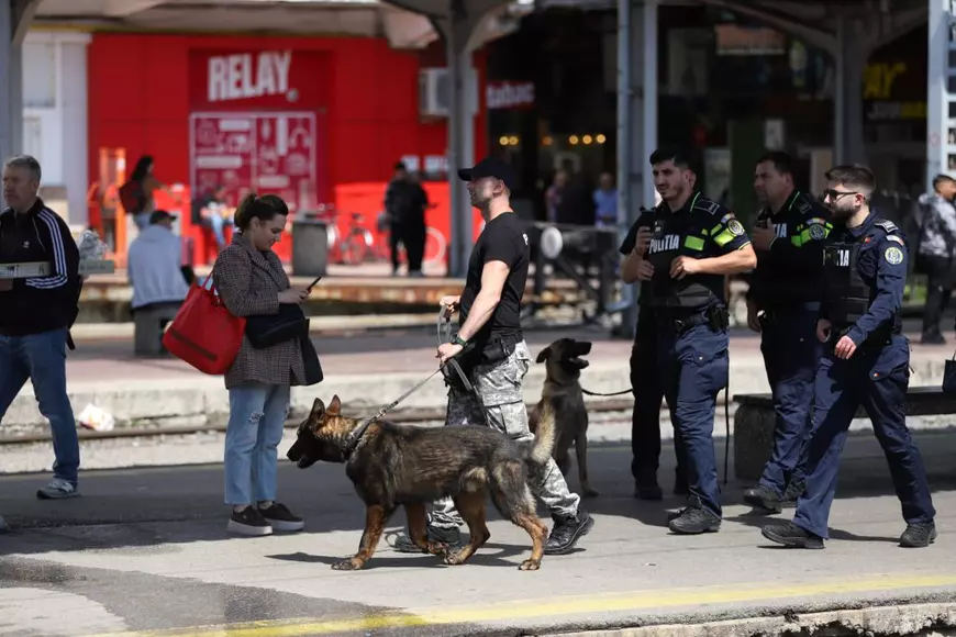 politie si jandarmi cu caini in Gara de Nord