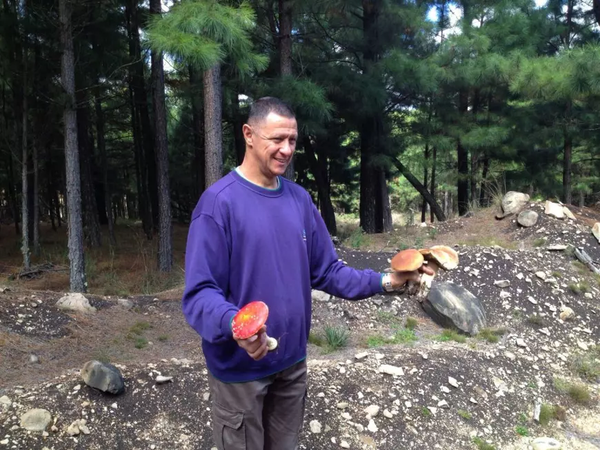 Afaceristul italian care a violat un băieţel de 12 ani din Bihor e judecat la relanti şi în mare secret. CSM: Orice inculpat poate să solicite „confidenţialitatea” dosarului