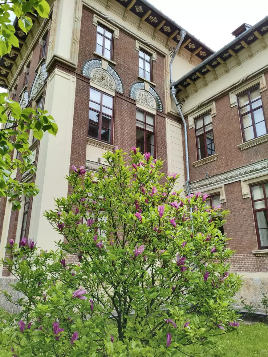 Povestea colegiului ridicat de regele Carol I la Câmpulung Muscel, pe locul unde trebuia să fie construit Peleșul 
