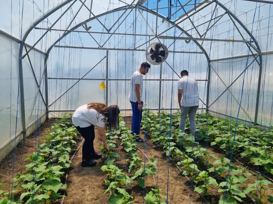 Liceul din provincie unde elevii cultivă ceapă, salată și castraveți folosind drone și tehnologie integrată. Director: „Agricultura digitalizată ne-a crescut rata de promovare a Bacalaureatului”