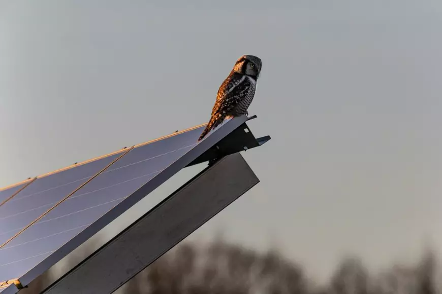 Care este suma minimă pentru a instala fotovoltaice pe acoperișul tău?